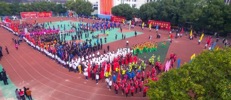 体育赛事策划包括哪些内容？让我们一起探寻背后的故事！